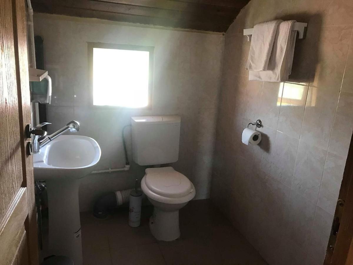 Hostel Flamingo Costinești Εξωτερικό φωτογραφία